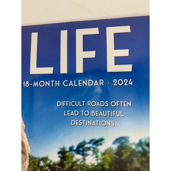 Uline dogs life 18 month wall calendar 2024 6124 - Picture 2 of 5